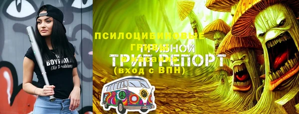 PSILOCYBIN Алексеевка