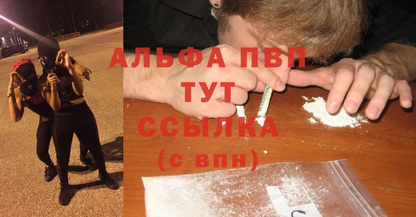 амф Елизово