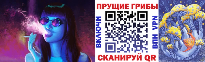 Галлюциногенные грибы прущие грибы  Змеиногорск 